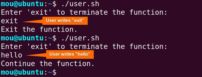 exit bash function based on user input