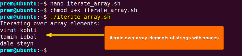 iterate over the array