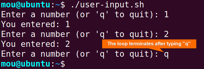 one line while loop with user input in bash