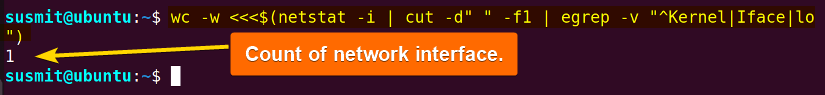 Count of network interface is printed on the terminal.