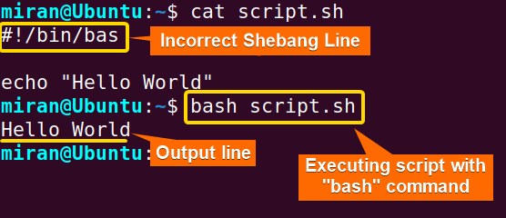Run the script with bash command