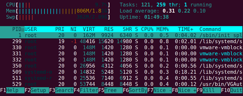 List processes in Bash using 'htop' command
