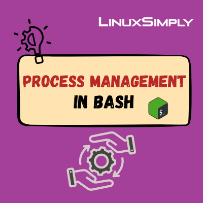 Process Management in Bash