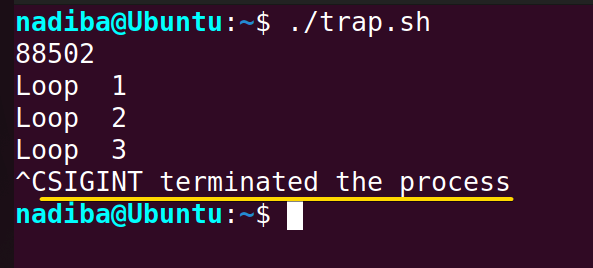 Trapping SIGINT signal in Bash