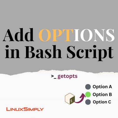 bash script options