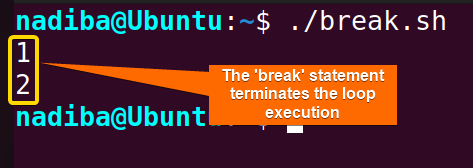 The 'break' statement terminates loop execution in Bash