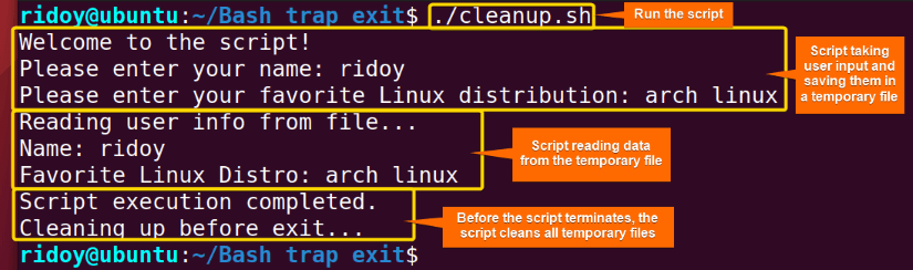 cleanup temporary file generated during script execution before script terminates