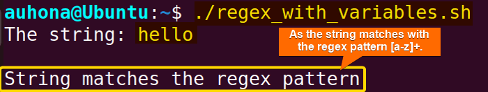 Using Bash regex with variables in IF clause to check pattern.