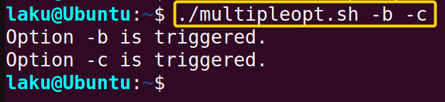 Handling multiple options using getopts command in Bash