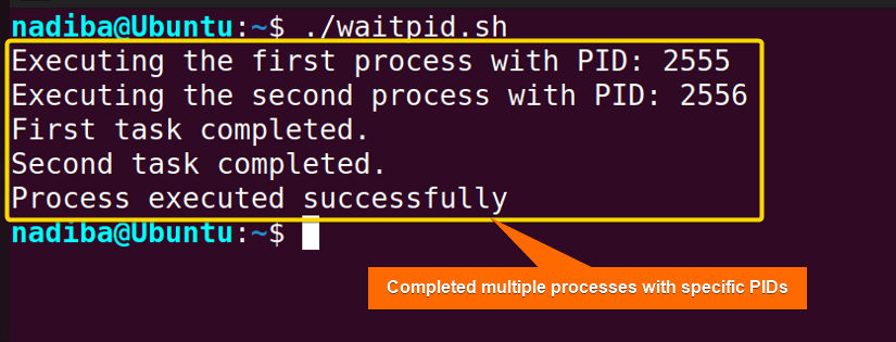 Waiting for Multiple Processes with Specific PIDs