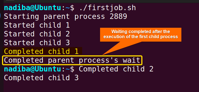 Waiting for the First Process to Complete in a Bash Script