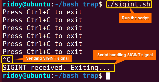 script handling SIGIINT signal in bash 
