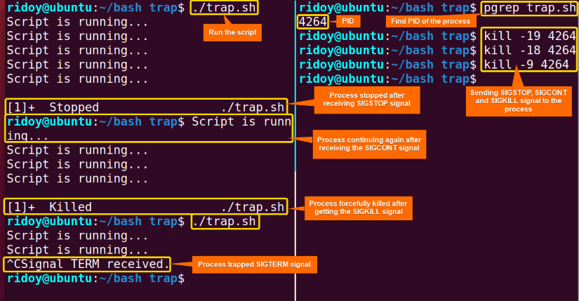 the script executed in a tmux terminal then SIGSTOP, SIGCONT, SIGKILL, and SIGTERM signals are sent to the process