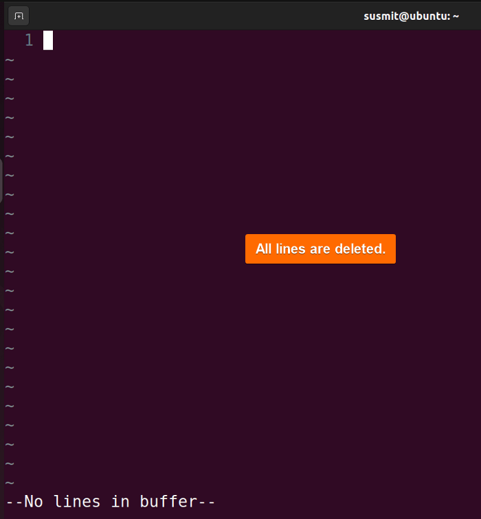 All lines are deleted in Vim.