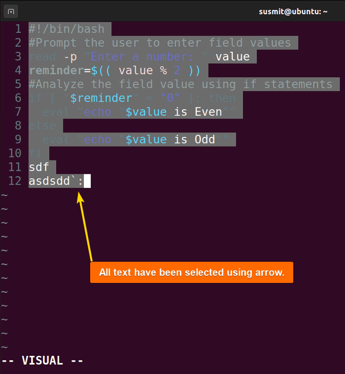 All text selected in vim.