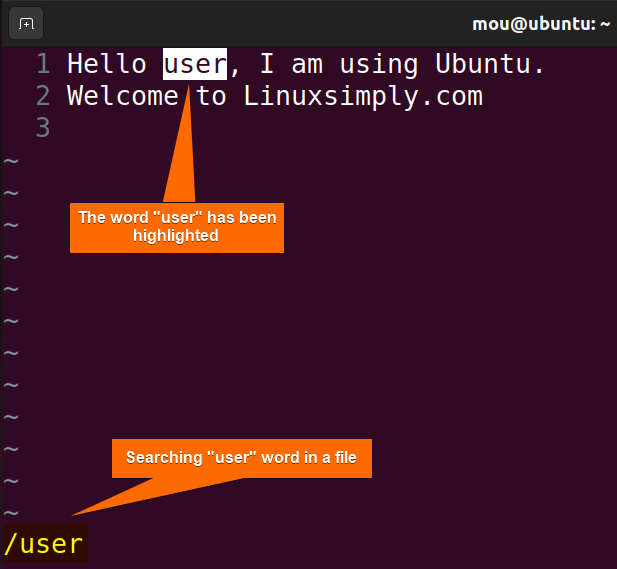 searching text in vim
