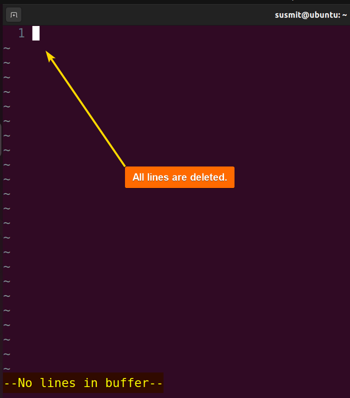 All lines are deleted in Vim.