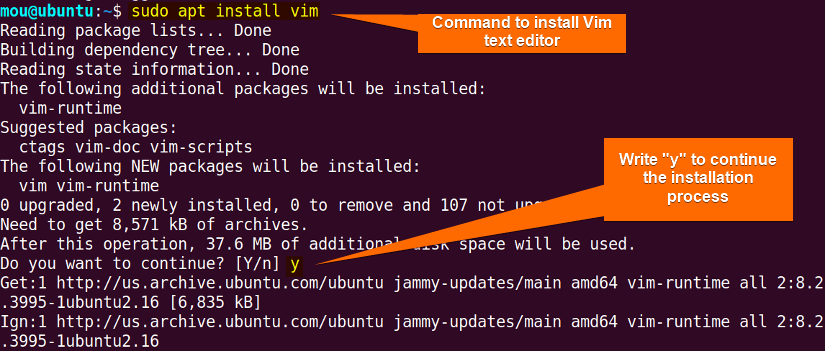 install vim using apt