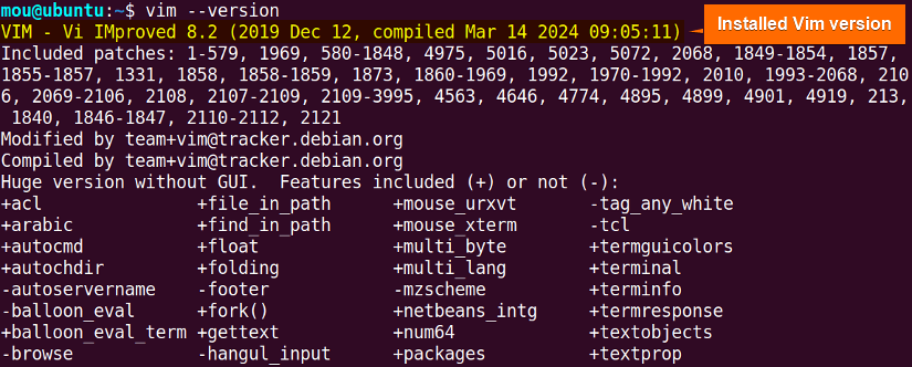 checking vim version