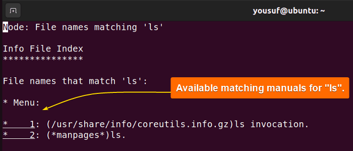 Viewing all matching manuals for ls using info command