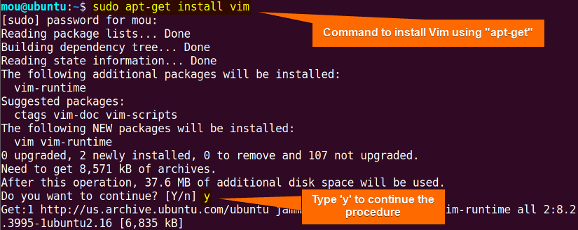 install vim using apt-get