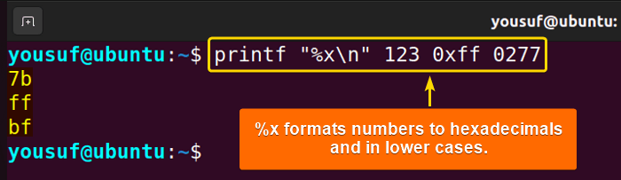 Printing hexadecimal values in lower case using printf with %x specifier
