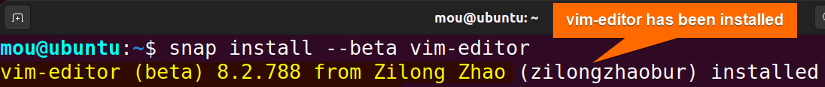 install vim editor using snap