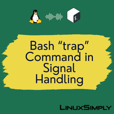 How to use the "trap" command to handle signals in bash scripting with 5 examples. How to send signals to a process using the "kill" command.
