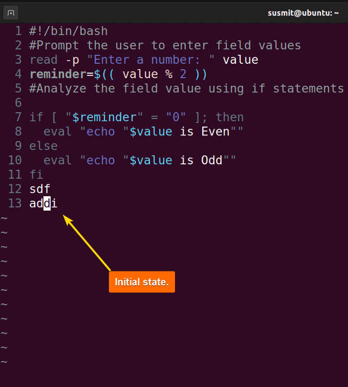 Initial state before undo and redo in Vim.