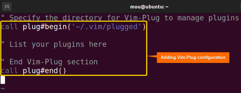 configure vim-plug