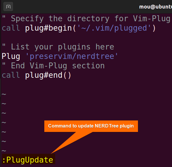 update vim nerdtree plugin