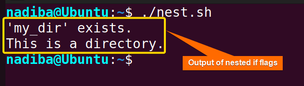 Bash flags with nested if statement