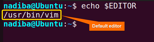 Checking default text editor in Linux