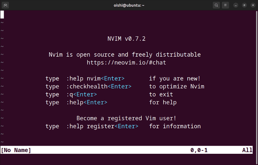 The interface of neovim text editor