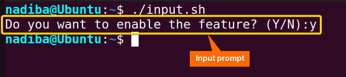 Setting prompt input into a Bash flag